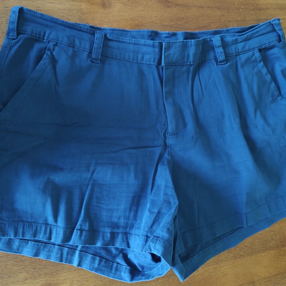 Lane Bryant Teal Shorts - Size 22